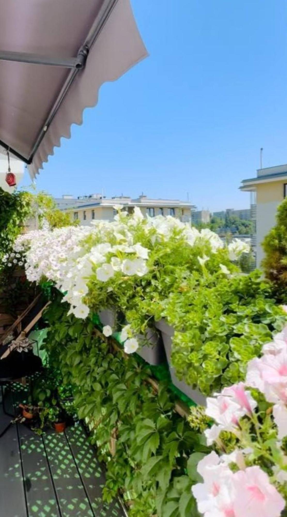 Shiraz Trio Apartament Варшава Экстерьер фото